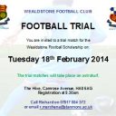 Stones Scholarship Trial